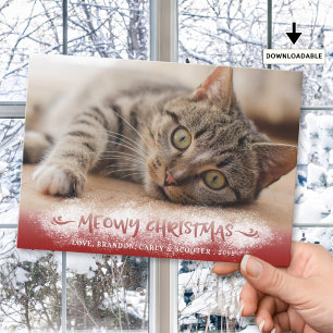Kattenfoto KLAAGLIED KERST Sneeuw Rood Feestdagenkaart