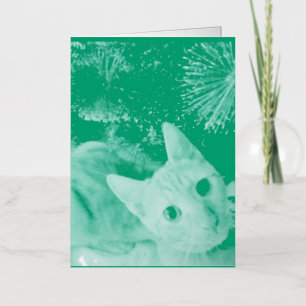 Kattenfoto tekst Kerstmis Vouwfolie Kerstdag Kaart