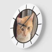 Kattenfoto, vervangbaar, Grappig  Grote Klok (Hoek)