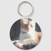 Kattenfoto, vervangbaar, Grappig Sleutelhanger (Achterkant)