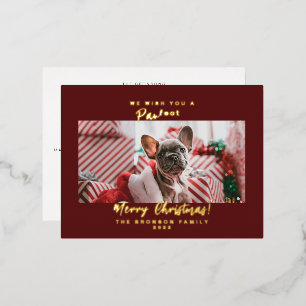 Kattenfoto vrolijk kerstfeest  folie feestdagen briefkaart