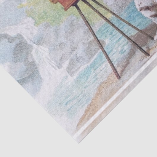 Kattenfotograaf · Helena Maguire (1860-1909) Tissuepapier (Detail)