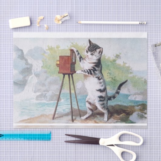 Kattenfotograaf · Helena Maguire (1860-1909) Tissuepapier (Craft)