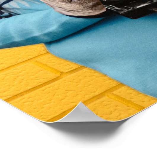 Kattenfotograaf in  trui Quirky Poster (Hoek)