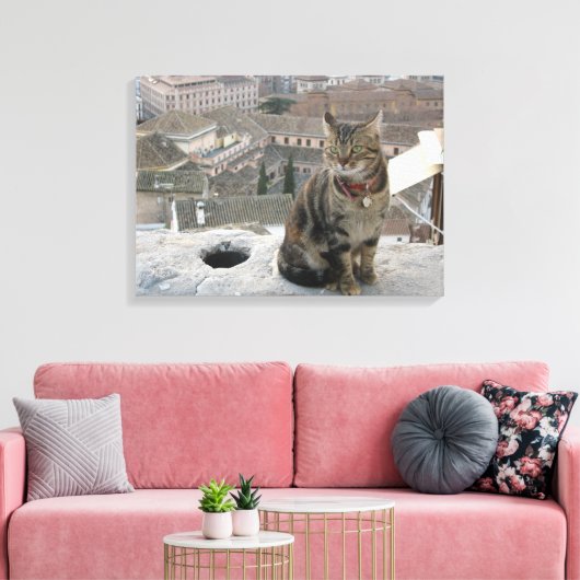 Kattenfotografie Single Canvas Afdruk (Insitu (Woonkamer))
