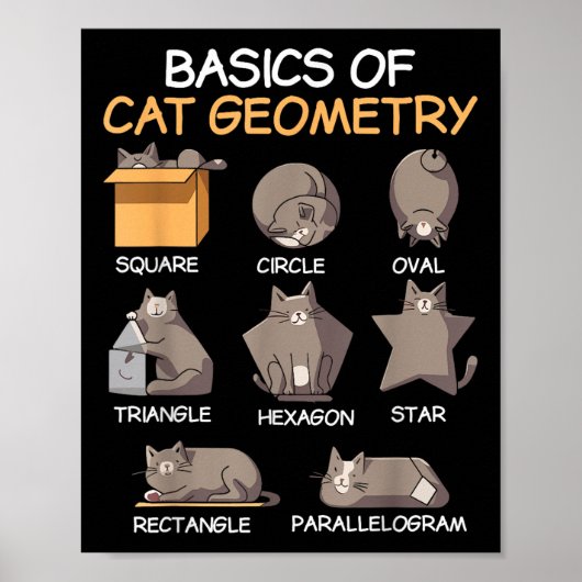 Kattengeometrie Wiskunde Grappige kattencadeaus vo Poster (Voorkant)