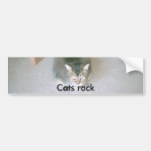Kattengesteente Bumpersticker (Voorkant)