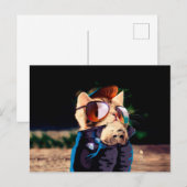 Kattengesteente gekleed in leren jasje briefkaart (Voorkant / Achterkant)