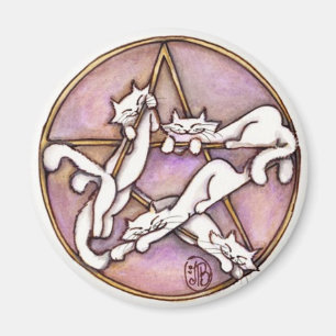 kattengeweer magneet