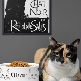 Kattengezicht Aangepaste naam  Voerbakje