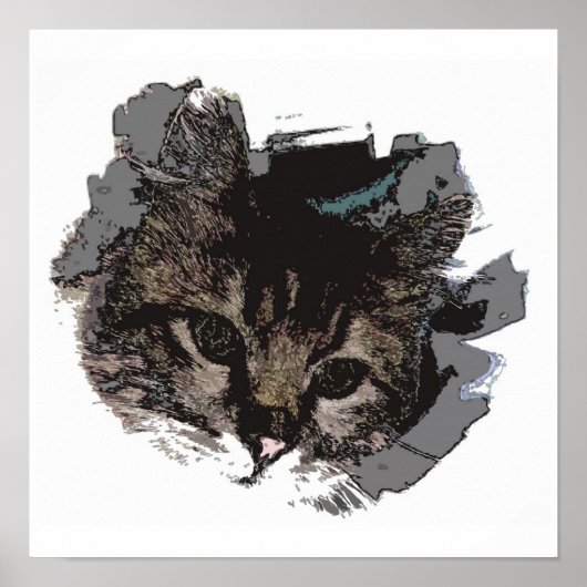 Kattengezicht - Kattenogen Poster Poster Print - K (Voorkant)