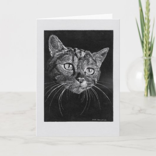 Kattengezicht lege kaart. kaart (Voorkant)