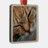 Kattengezicht Premium Square Ornament (Rechts)