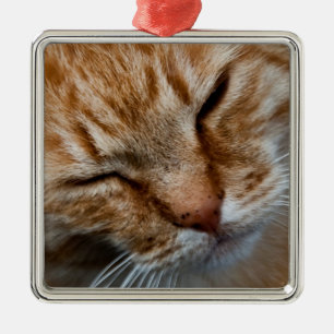 Kattengezicht Premium Square Ornament
