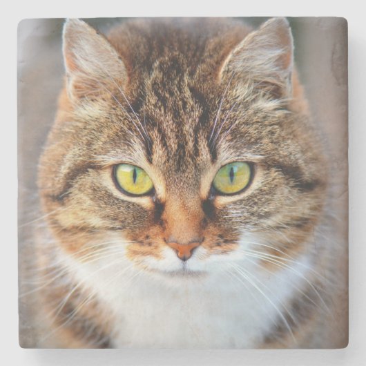 Kattengezicht Stenen Onderzetter (Voorkant)