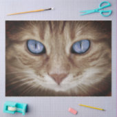 Kattengezichtsweefsel/ontkoppelingspapier Tissuepapier (Craft)