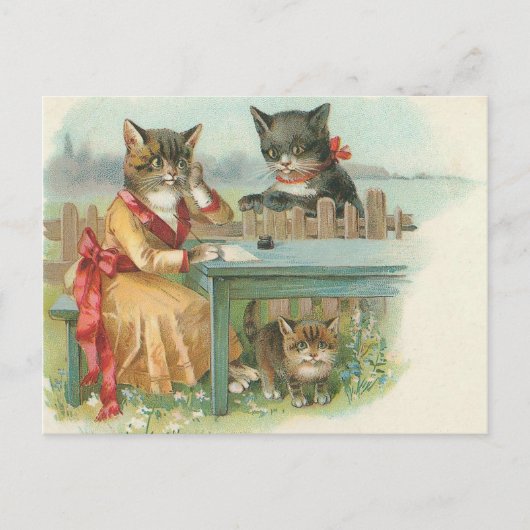 kattengezin briefkaart (Voorkant)