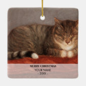 Kattenhond Foto Huisdier Herdenkingscadeau Portret Keramisch Ornament (Achterkant)