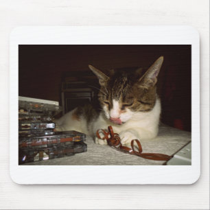 Kattenhonger voor cassettes muismat