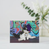 Kattenhouding.......Kattenhouding! Briefkaart (Staand voorkant)