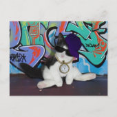 Kattenhouding.......Kattenhouding! Briefkaart (Voorkant)