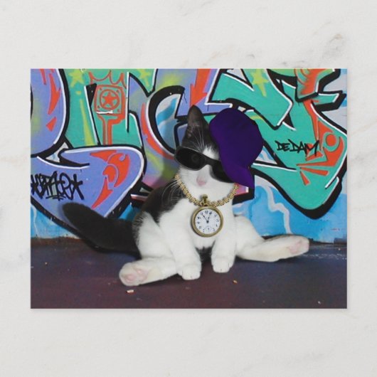 Kattenhouding.......Kattenhouding! Briefkaart (Voorkant)