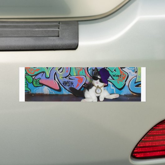 Kattenhouding.......Kattenhouding! Bumpersticker (Op auto)