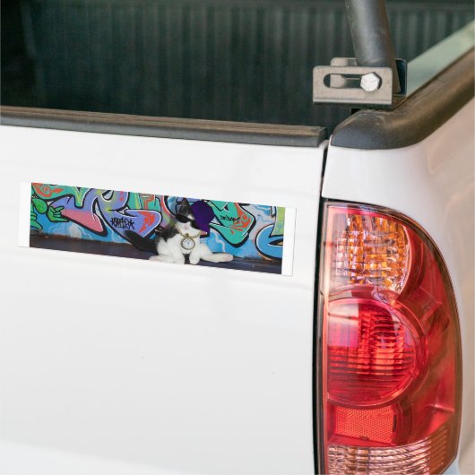 Kattenhouding.......Kattenhouding! Bumpersticker (Op Truck)