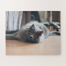Kattenhuisdier Kitten Plezier Aangepast