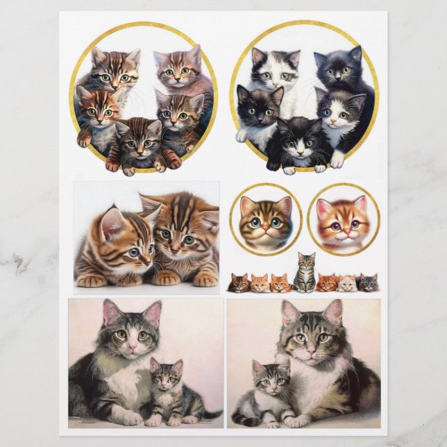  kattenillustraties geïnspireerd door H. Maguire (Voorkant)