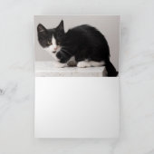 Kattenjong Kaart (Binnen)