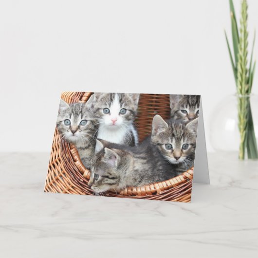 Kattenjong Kaart (Voorkant)