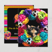 Kattenkaart voor Día de los Muertos Feestdagenkaart (Voorkant / Achterkant)