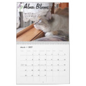 Kattenkalender 2012 kalender (Mar 2027)