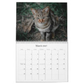 Kattenkalender 2026 kalender (Mar 2027)