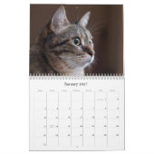 Kattenkalender 2026 kalender (Jan 2027)