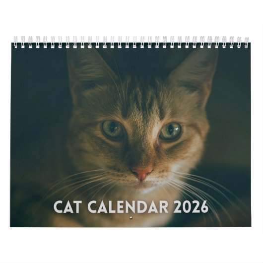 Kattenkalender 2026 kalender (Hoes)