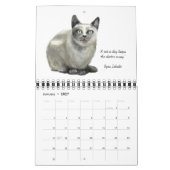 kattenkalender 2026 kalender (Jan 2027)