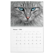 Kattenkalender Feline Kalender Home Muur A (Feb 2026)