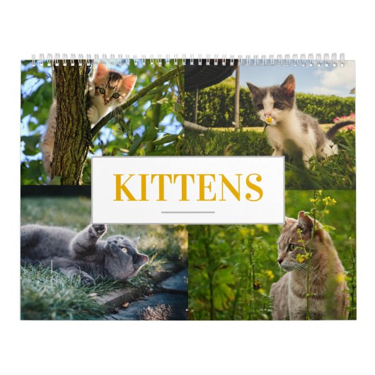 Kattenkalender Feline Kalender Home Muur A (Hoes)