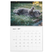Kattenkalender Feline Kalender Home Muur A (Mar 2027)