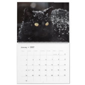 Kattenkalender Feline Kalender Home Muur A (Jan 2027)