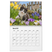 Kattenkalender Kalender (Mar 2027)
