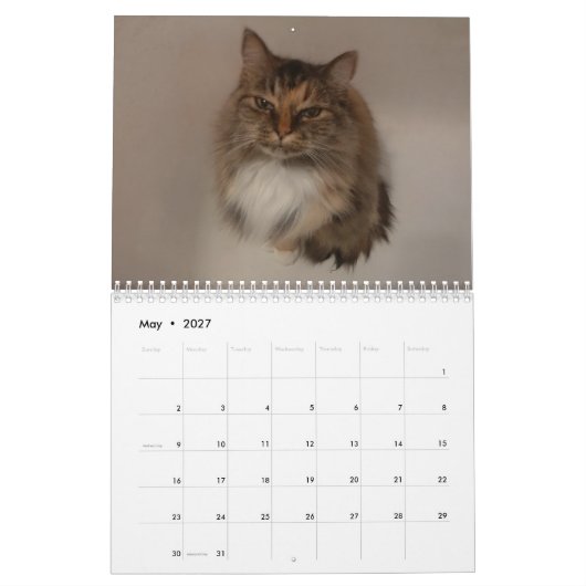 Kattenkalender Kalender (Mei 2027)