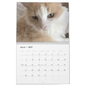 Kattenkalender Kalender (Mar 2027)