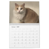 Kattenkalender Kalender (Jan 2027)