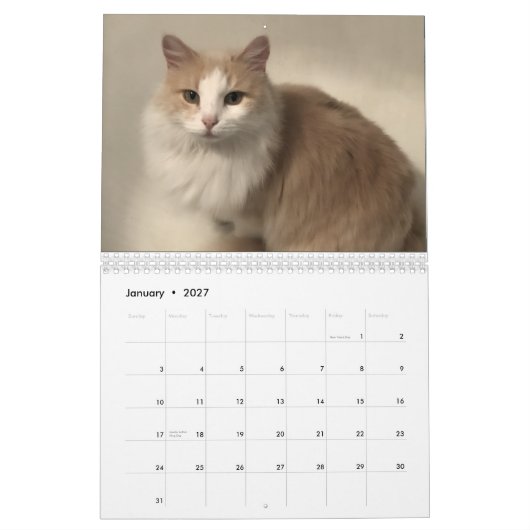 Kattenkalender Kalender (Jan 2027)