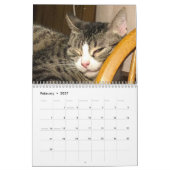 Kattenkalender Kalender (Feb 2027)
