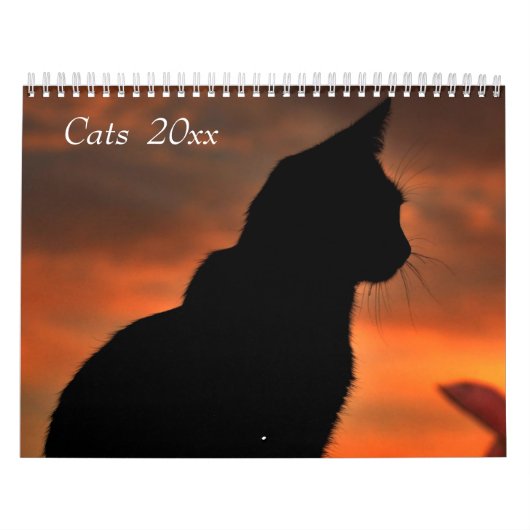 kattenkalender kalender (Hoes)