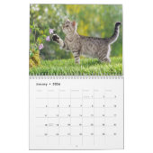  kattenkalender kalender (Jan 2026)